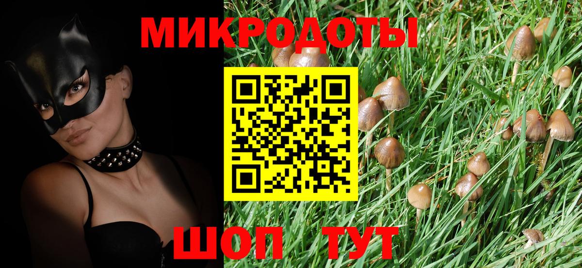 Галлюциногенные грибы Psilocybine cubensis Мытищи